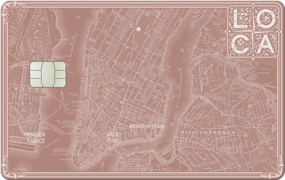 LOCA MONEY 카드
