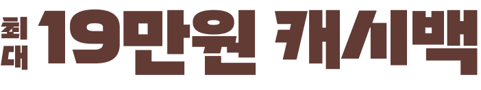 최대 19만원 캐시백