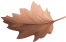 배경 낙엽2